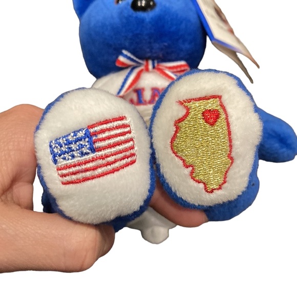 Pish Toys Illinois Limited Edition State Bear 9" - Picture 5 of 7